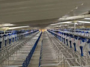 Thùng mang thai lợn mạ kẽm nóng